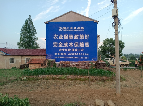  黑水墙体广告的优劣势你知道吗？